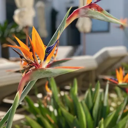 Creta Blue Luxury Collection (adults Only) 4*