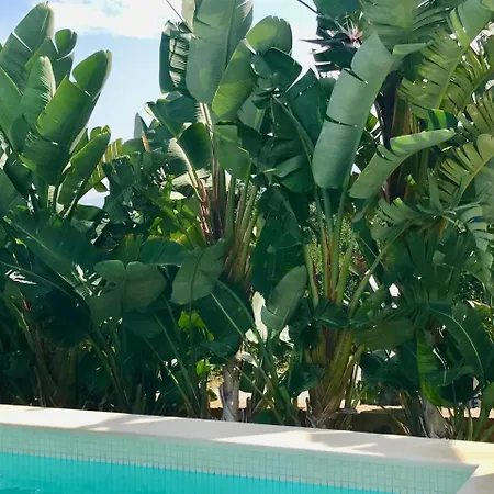 Creta Blue Luxury Collection (adults Only) 4*