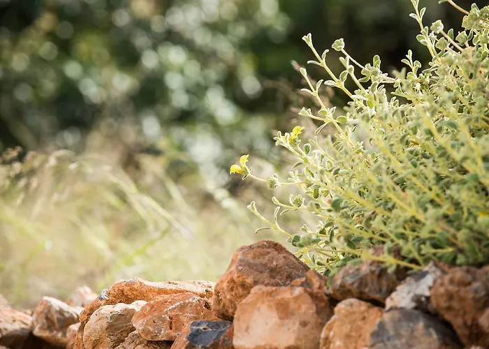 Creta Blue Luxury Collection (adults Only) 4* Hersonissos (Crete)