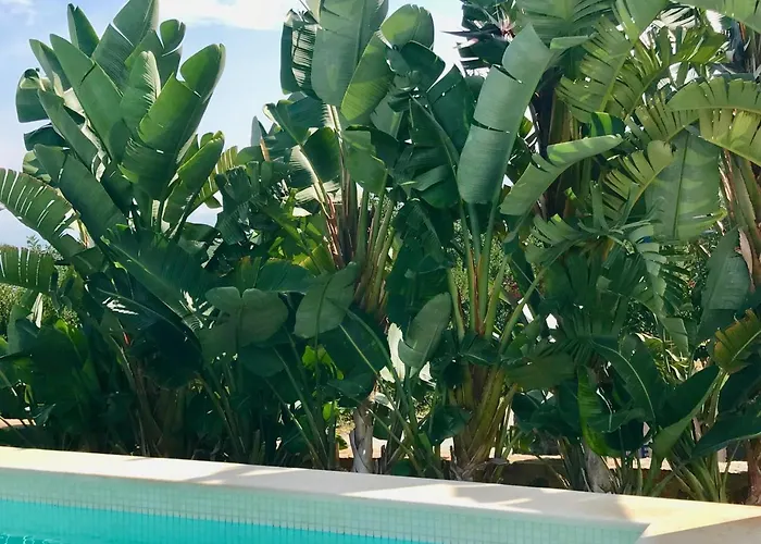 Creta Blue Luxury Collection (adults Only) 4*