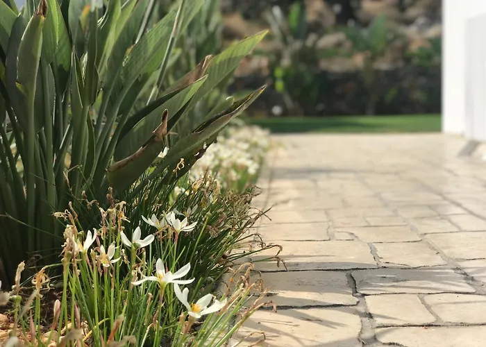 酒店 Creta Blue Luxury Collection (adults Only) 4*