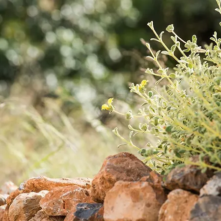 Creta Blue Luxury Collection (adults Only) 4* Hersónissos