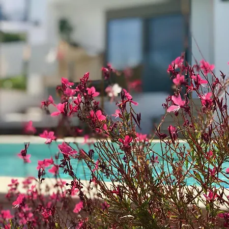 Creta Blue Luxury Collection (adults Only) 4*