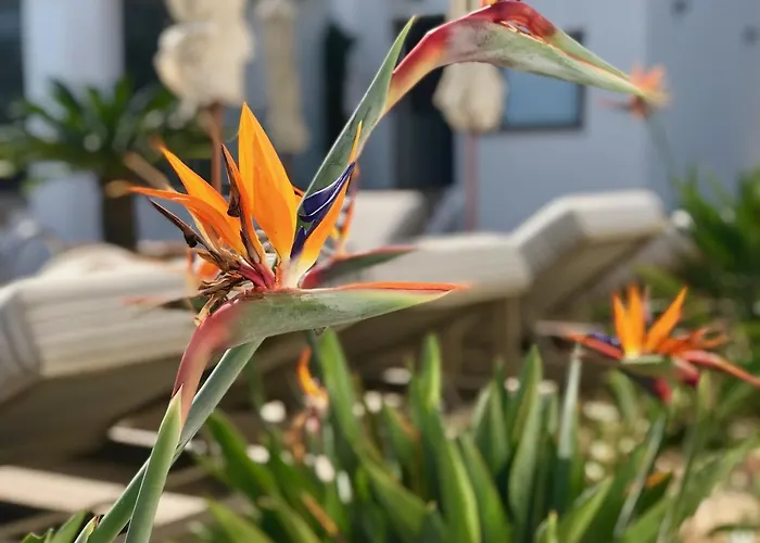 Creta Blue Luxury Collection (adults Only) 4*