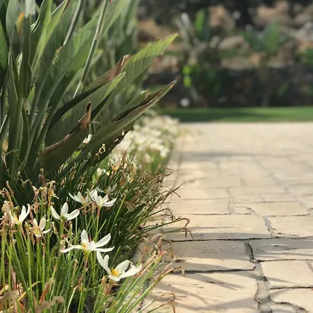 호텔 Creta Blue Luxury Collection (adults Only) 4*